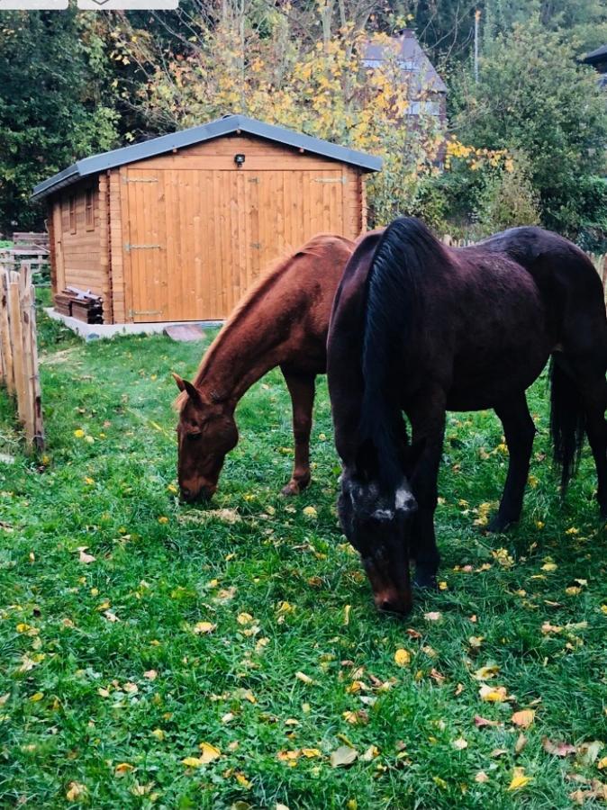 La Mosane Bed & Breakfast Profondeville Dış mekan fotoğraf