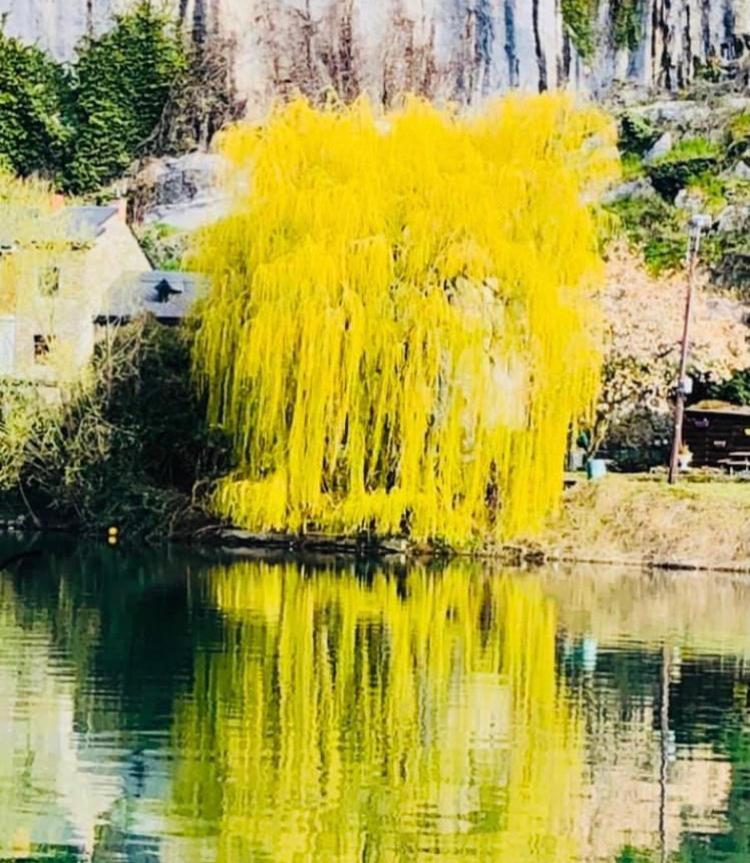 La Mosane Bed & Breakfast Profondeville Dış mekan fotoğraf